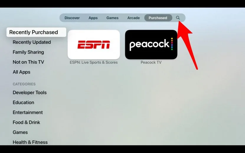 Apple TV: Search for Ibo Player Pro
