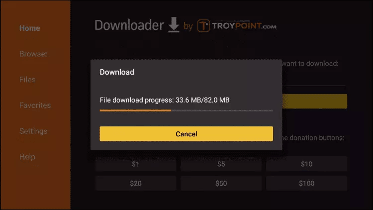 Fire TV Stick: Install the app