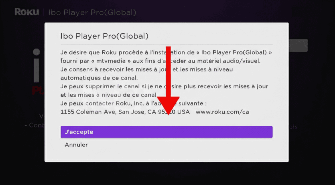 Roku / TCL: Accept the terms